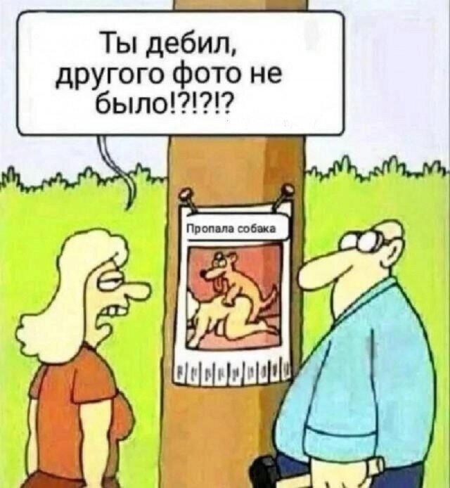 Дичка среды сестричка