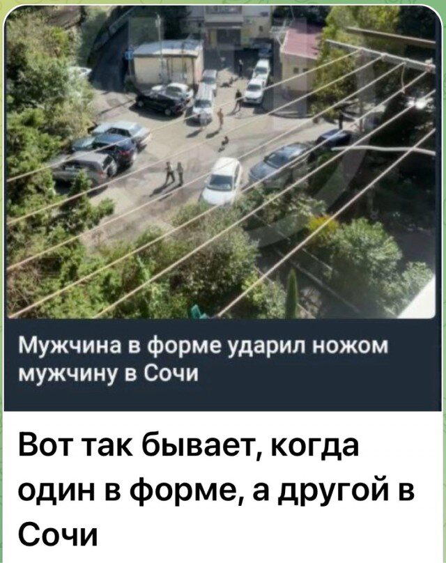 Дичка среды сестричка