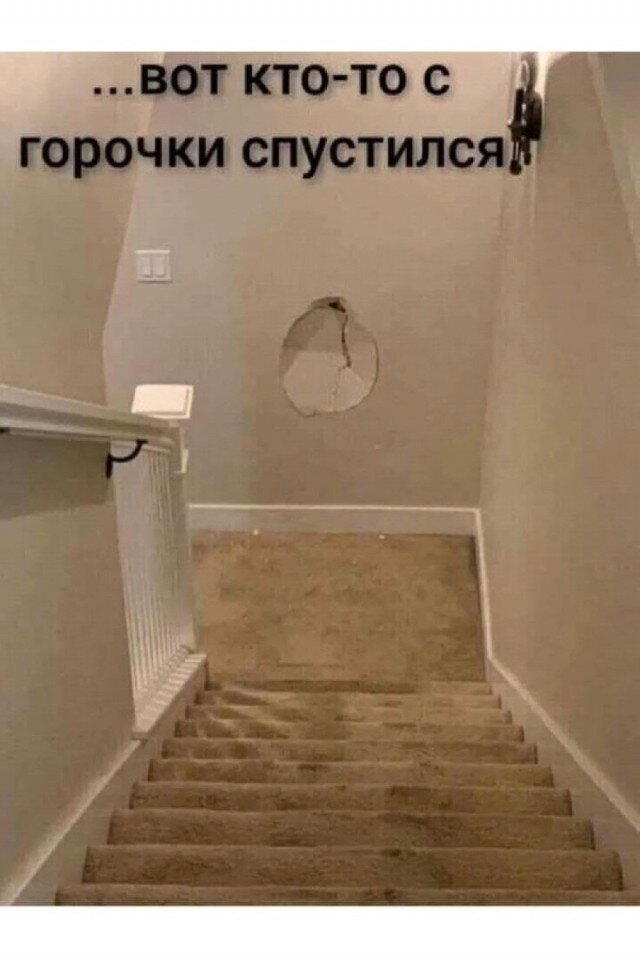 Дичка среды сестричка