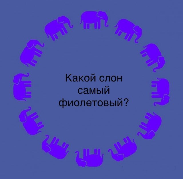 Дичка среды сестричка