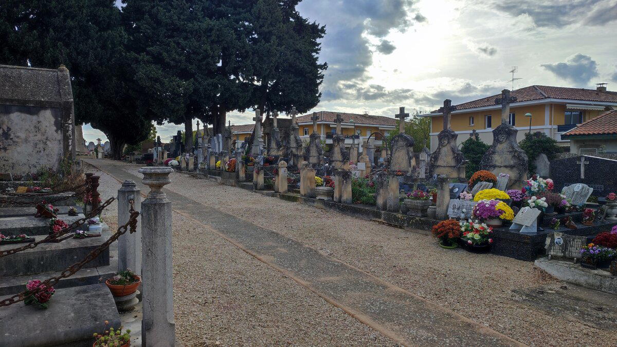 Да фар-лез-оливье.