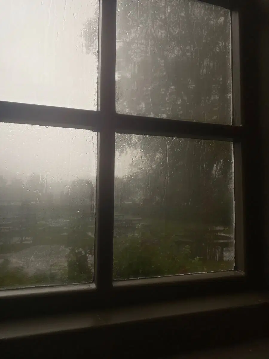 Охота была удачной.