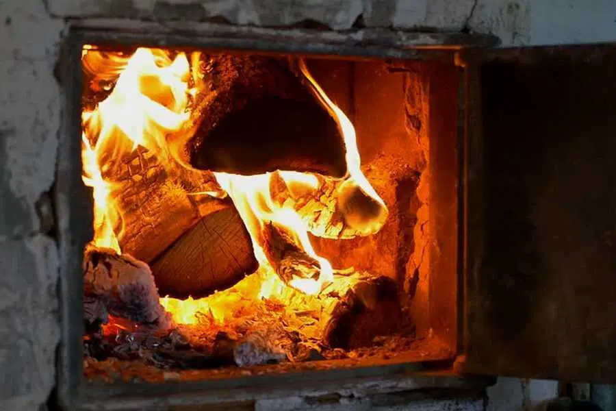 Охота была удачной.