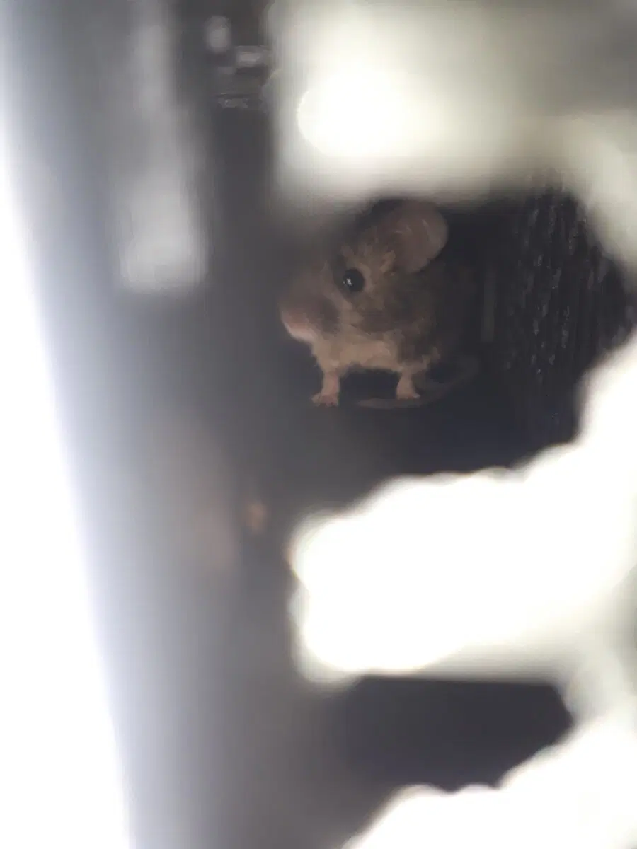 Охота была удачной.