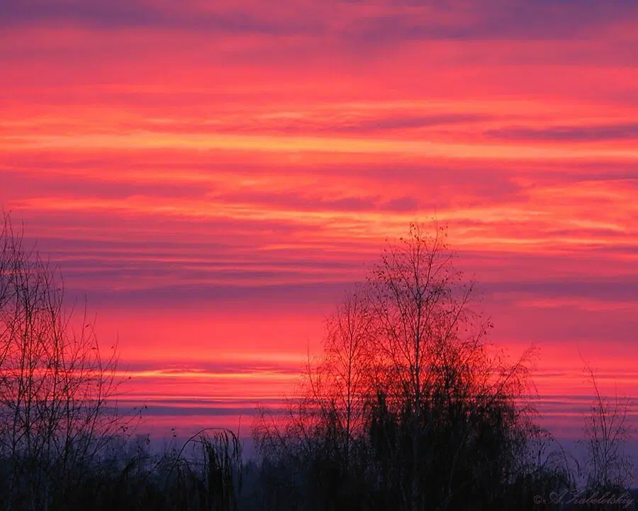 Охота была удачной.