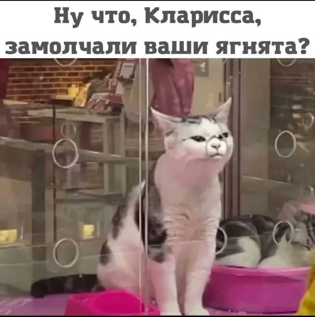 Дичка пятниничка