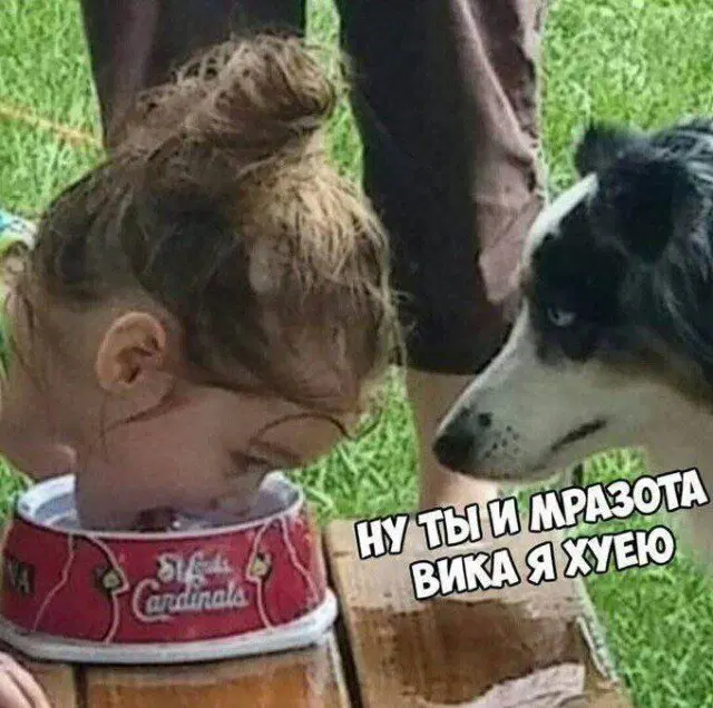 Дичка пятниничка