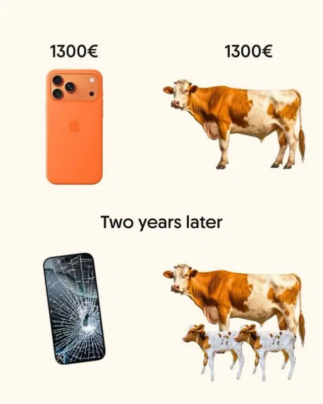 Дичка пятниничка