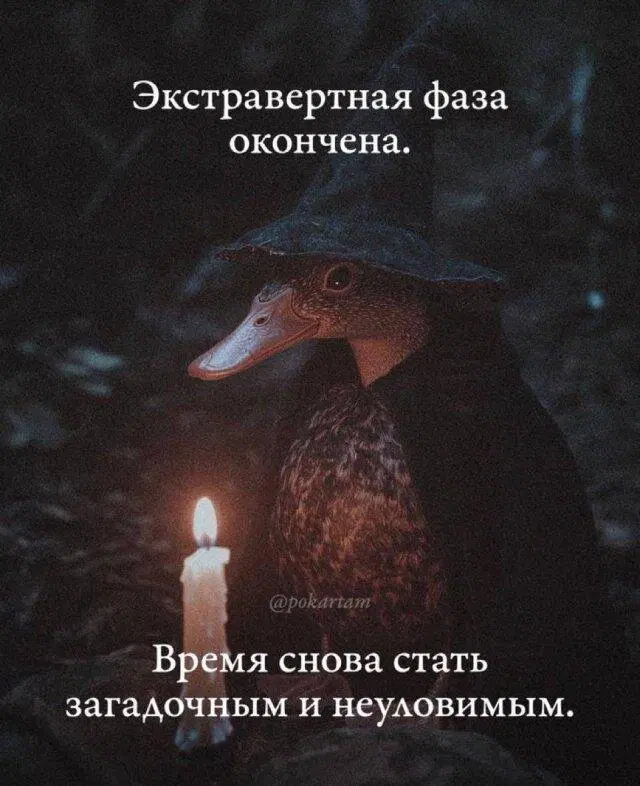 Дичка пятниничка