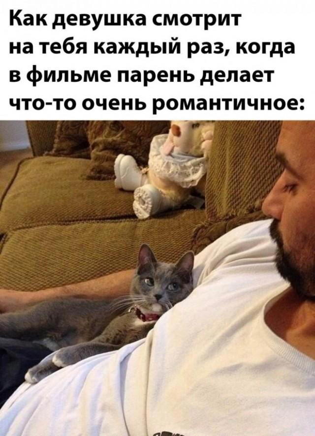 Дичка пятниничка