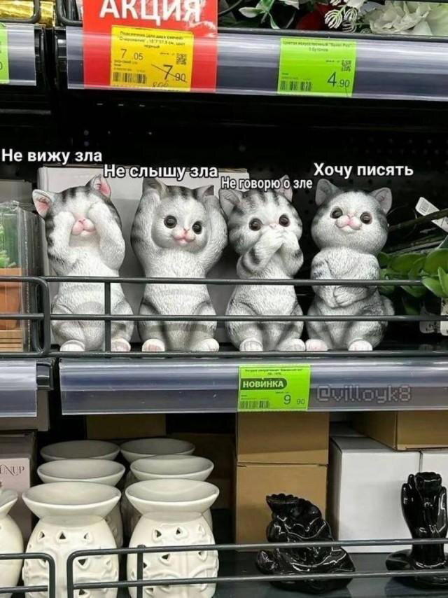 Дичка пятниничка