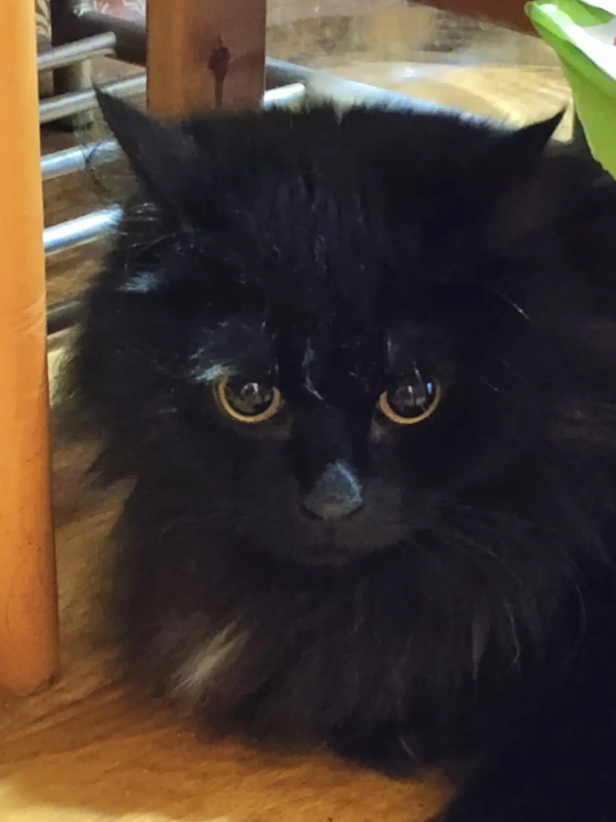 Вот он. Этот подозрительный тип, гражданской наружности.