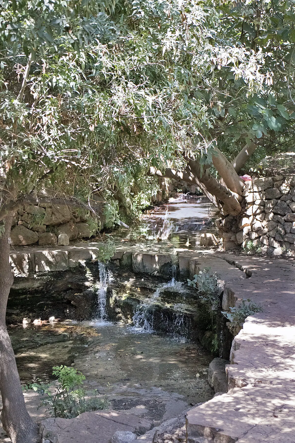 Эйн Хемед - Аква Белла