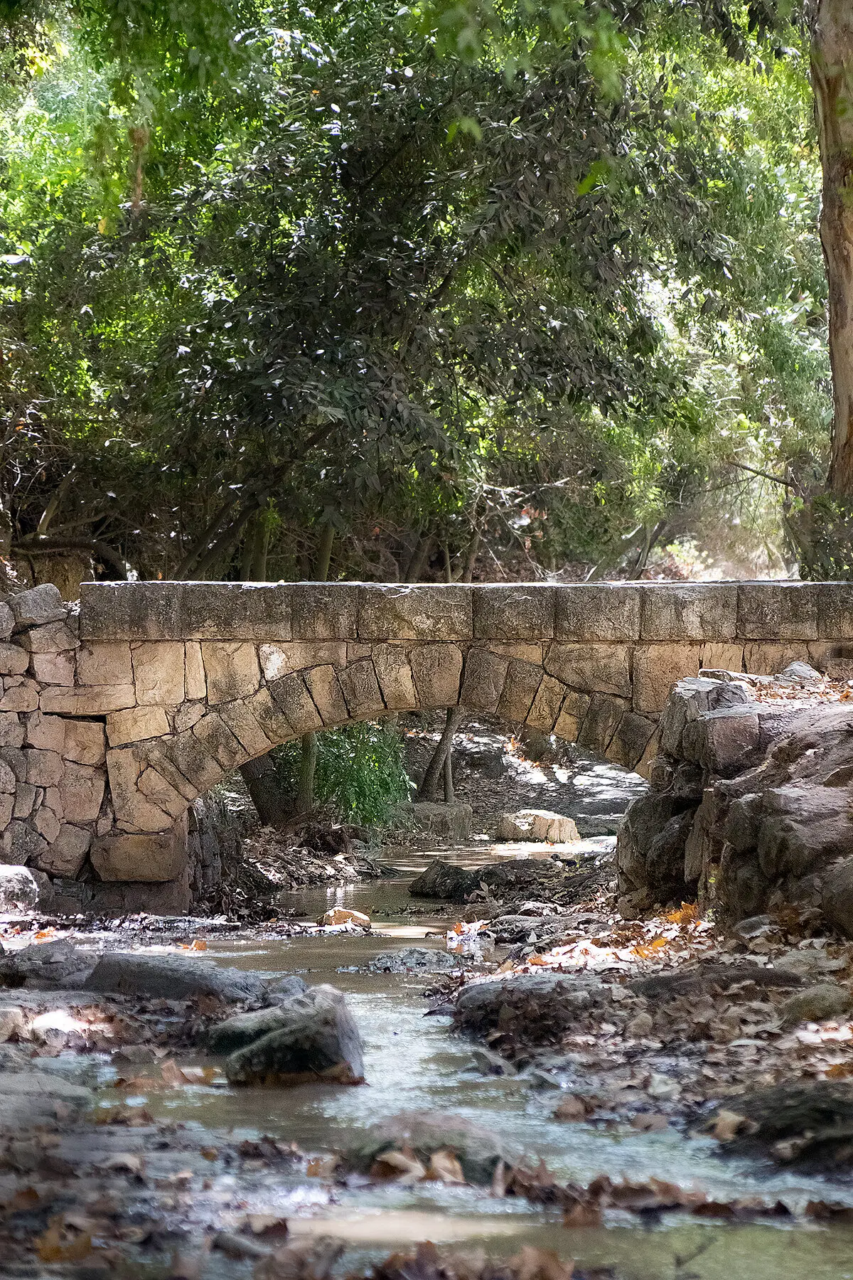 Эйн Хемед - Аква Белла