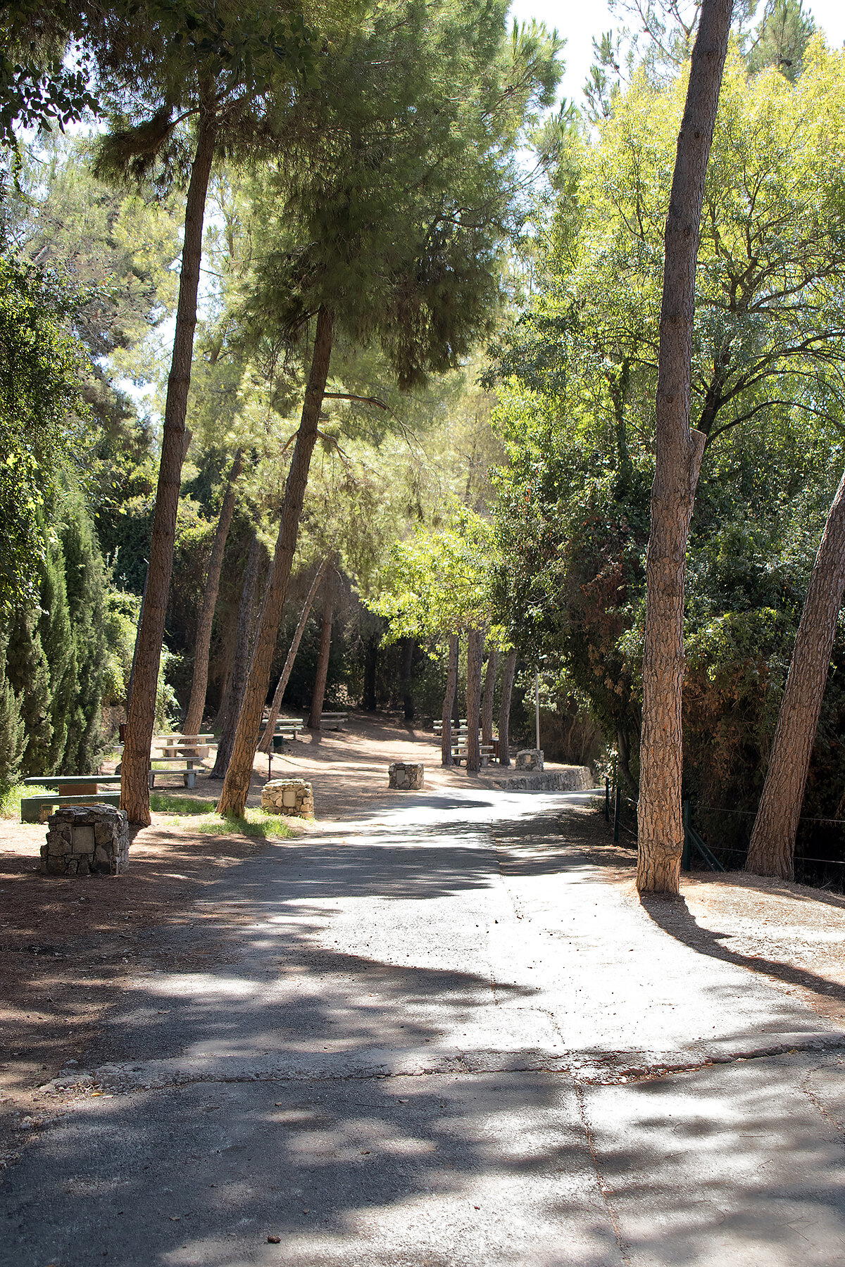 Эйн Хемед - Аква Белла