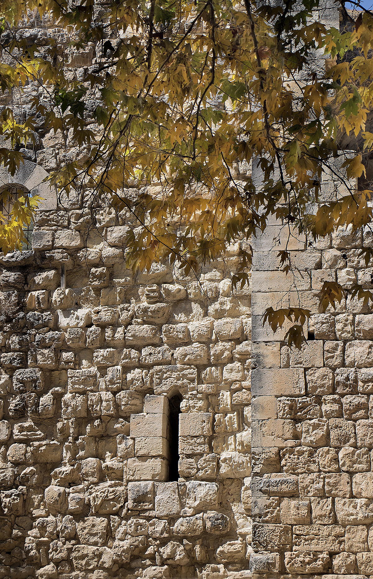 Эйн Хемед - Аква Белла