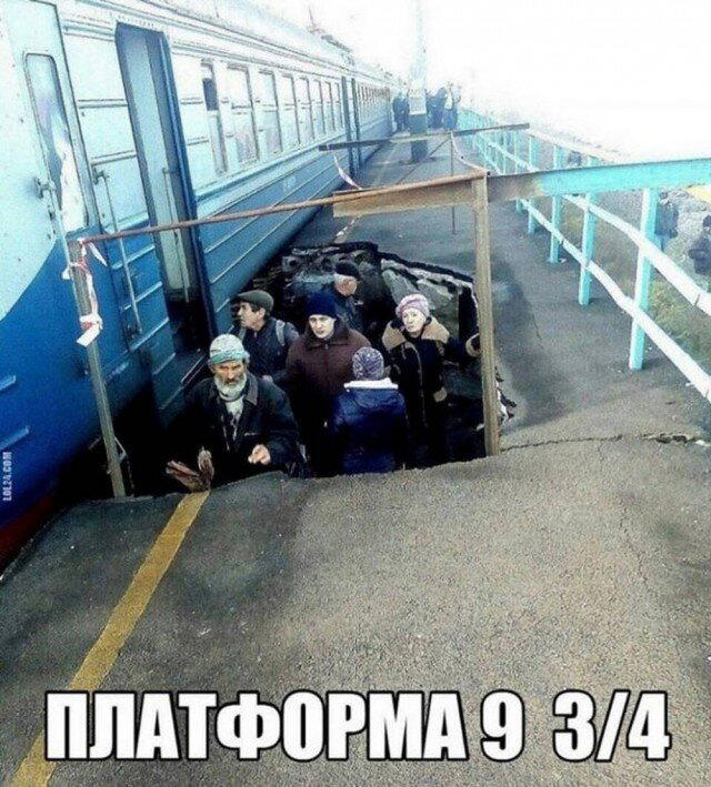 Дичка субботичка