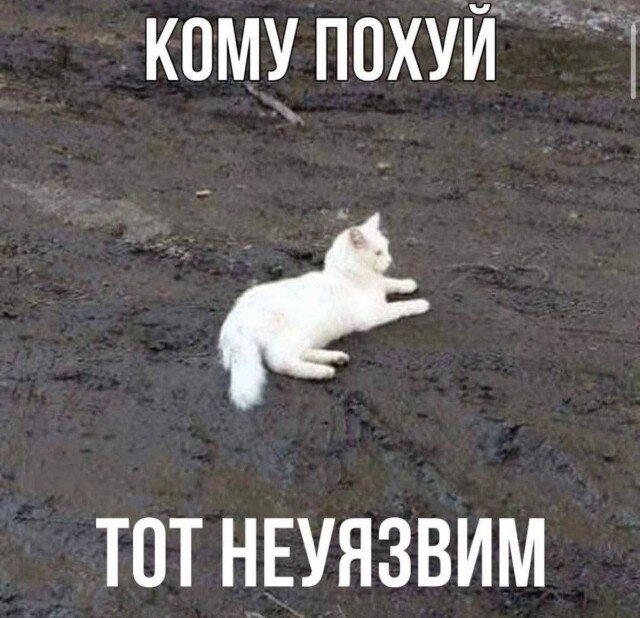 Дичка субботичка