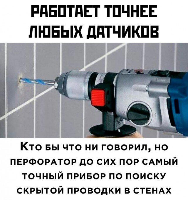 Дичка субботичка