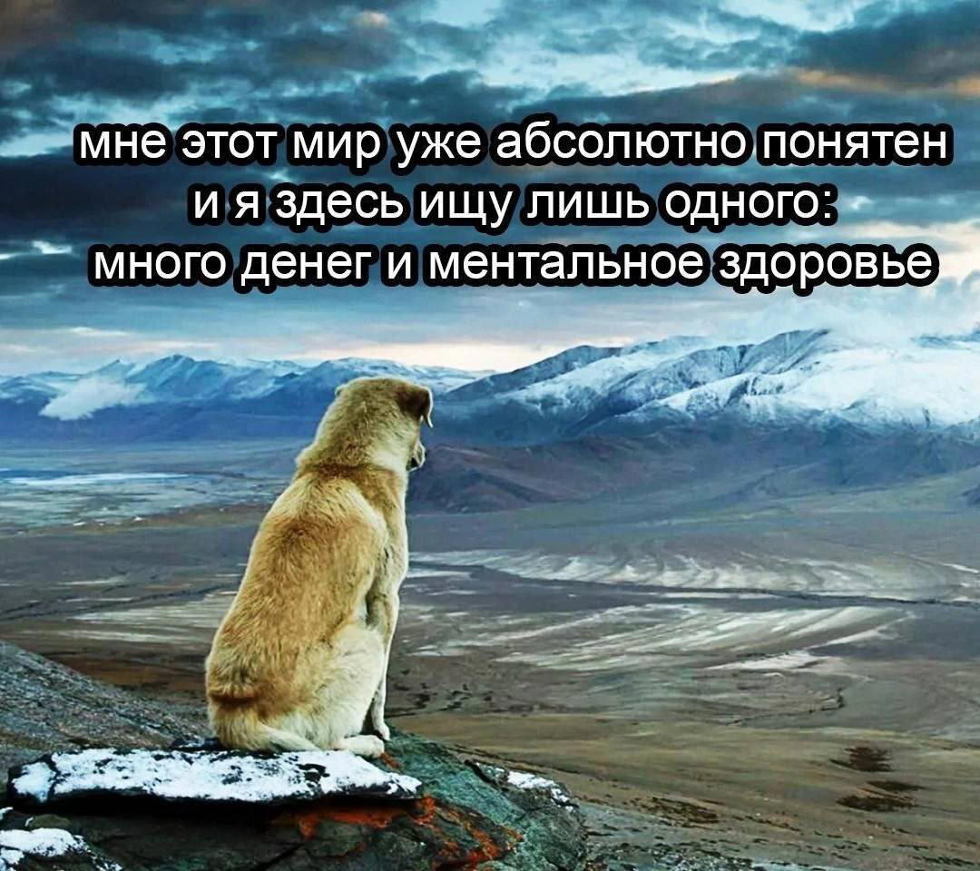 Дичка субботичка