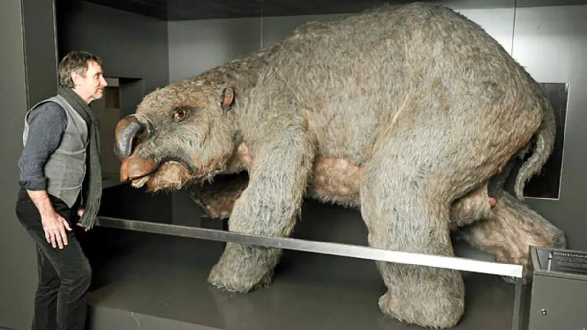 Сумка, как видите, уже была в нужном положении.