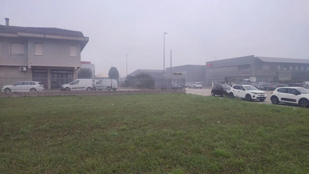 Туман в Вероне.