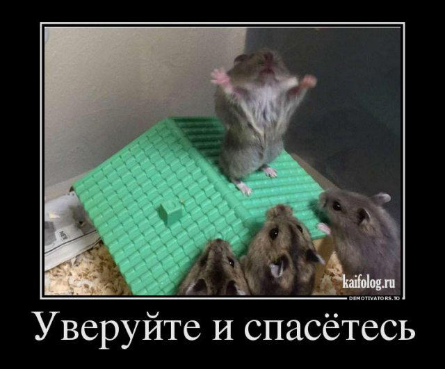 Божественные демотиваторы