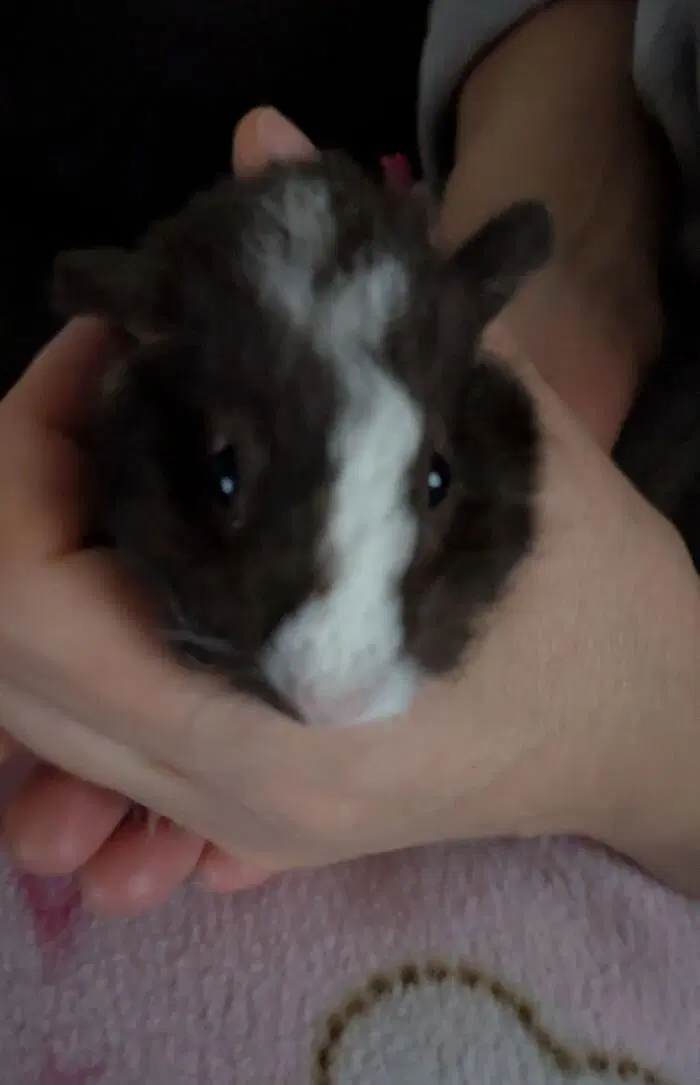 Маленькая Ру