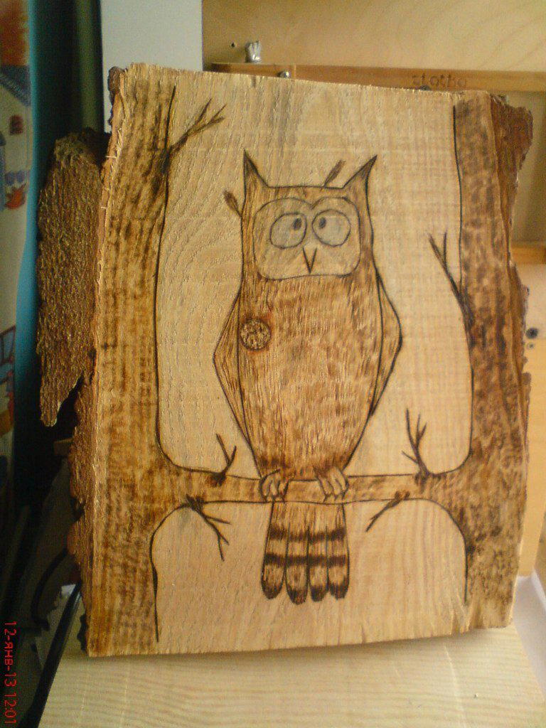 "Сова на парадоксальном дереве"