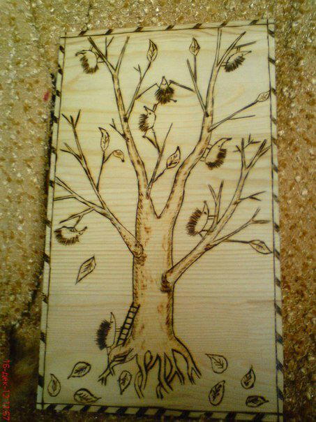 "Ежи прилетели"