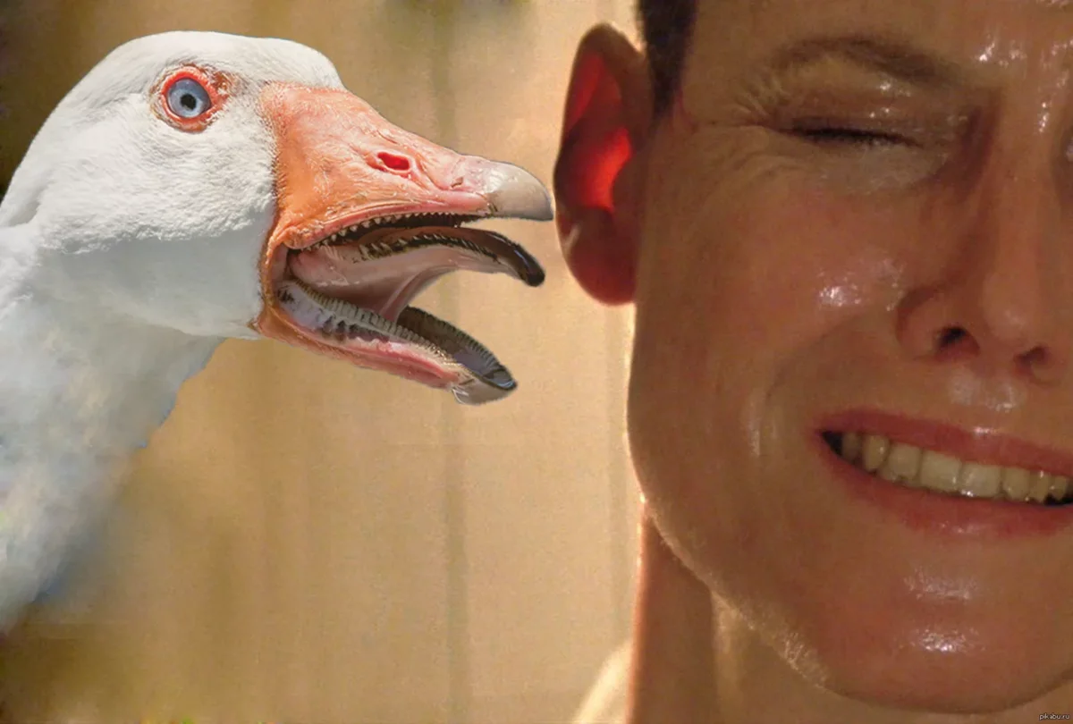 Пришли гуси - пощипали, пощипали.