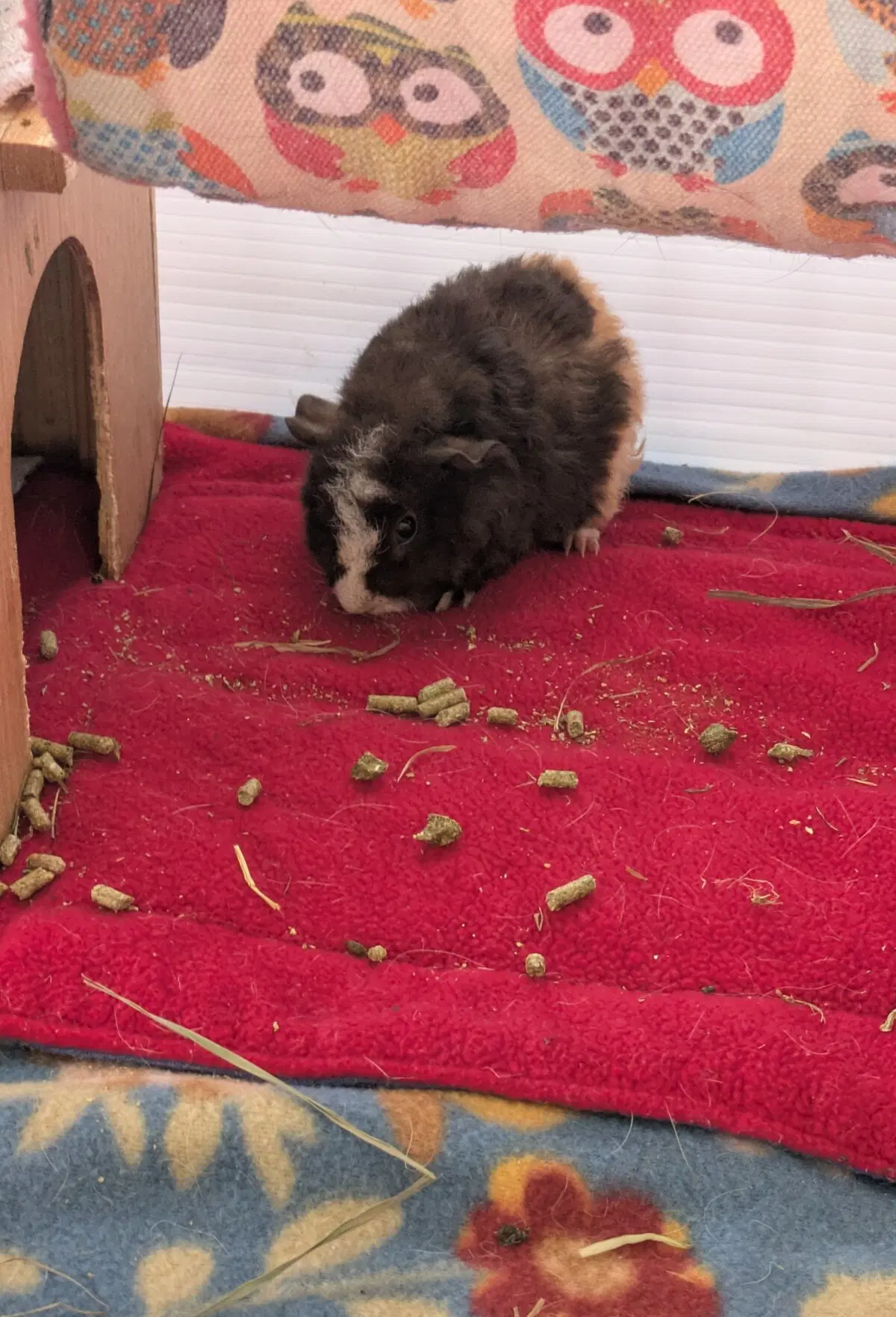 Маленькая Ру