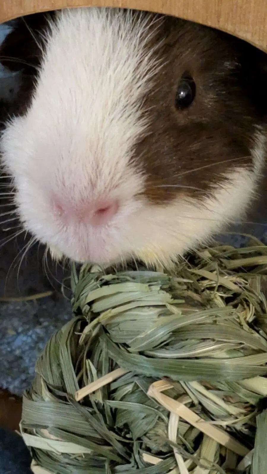 Маленькая Ру