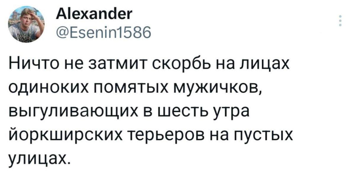 Дичка на вторнишник