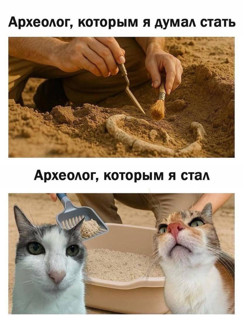 Дичка на вторнишник