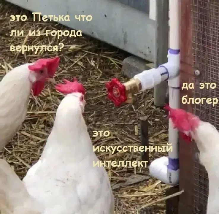 Дичка на вторнишник