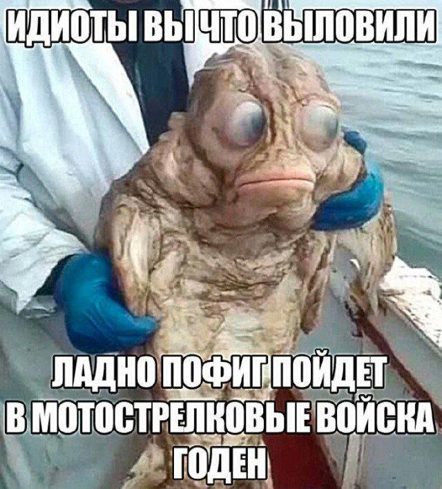 Дичка на вторнишник