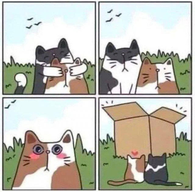 Дичка на вторнишник