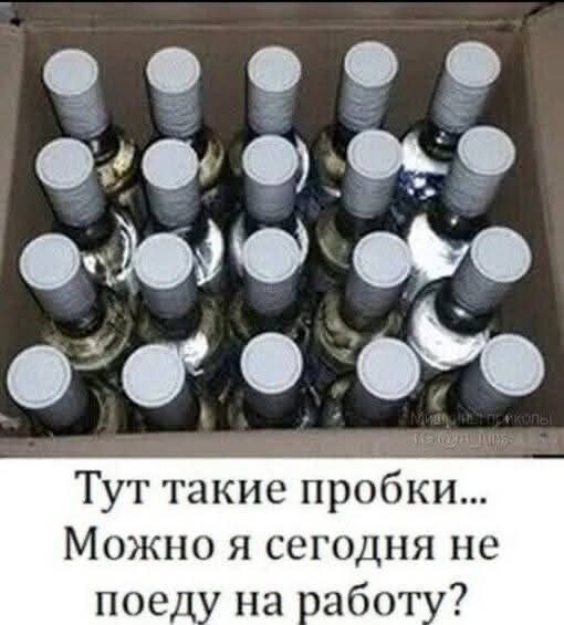 Дичка на вторнишник