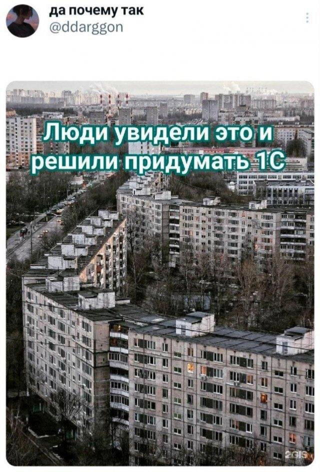 Дичка на вторнишник