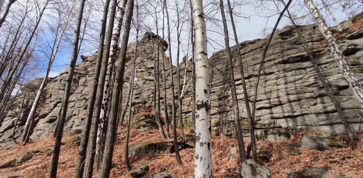 Семь братьев