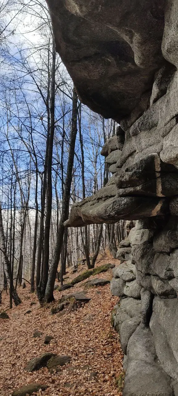 Семь братьев