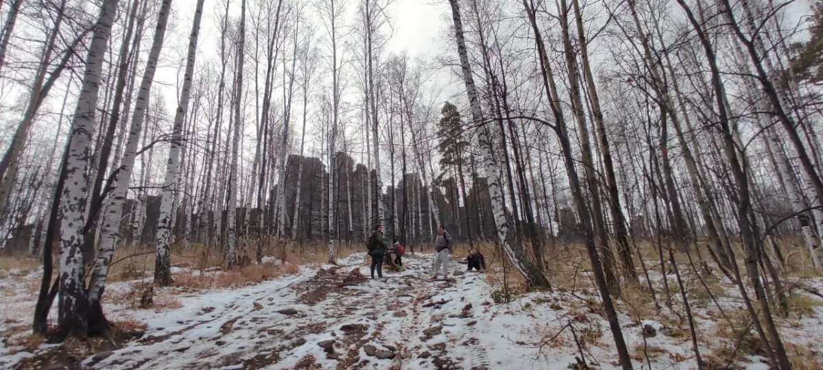 Семь братьев