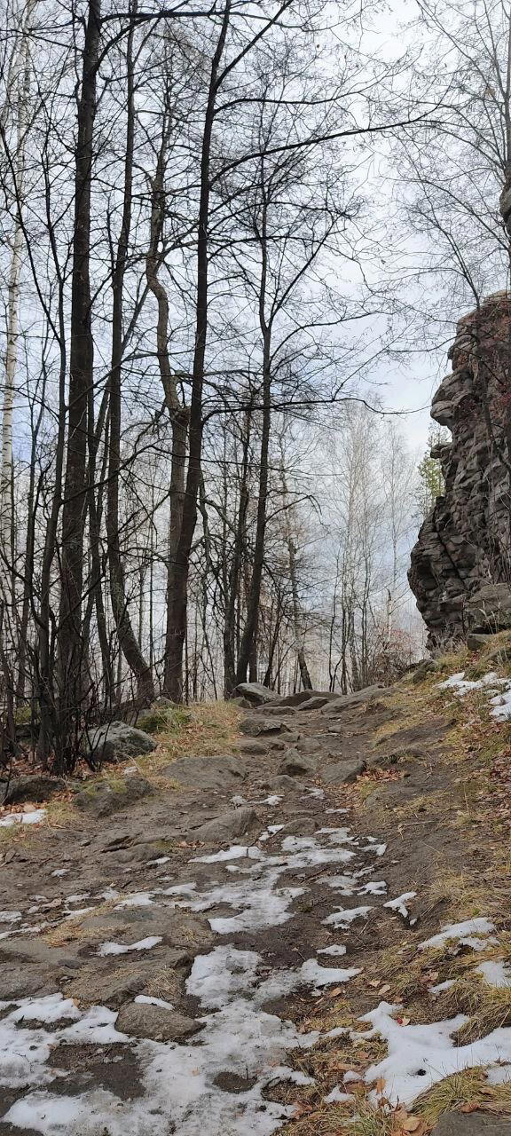 Семь братьев