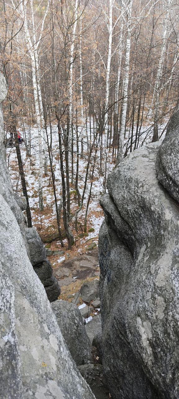 Семь братьев