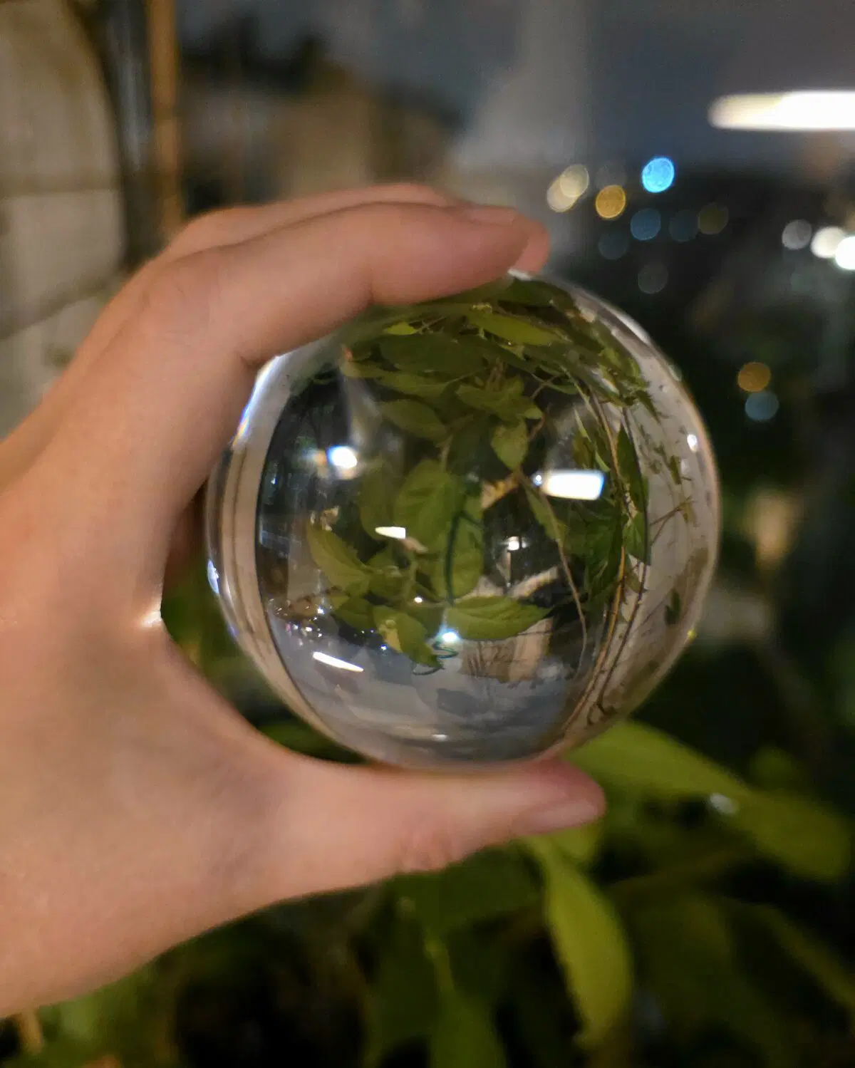 А точнее сфера для фотографии