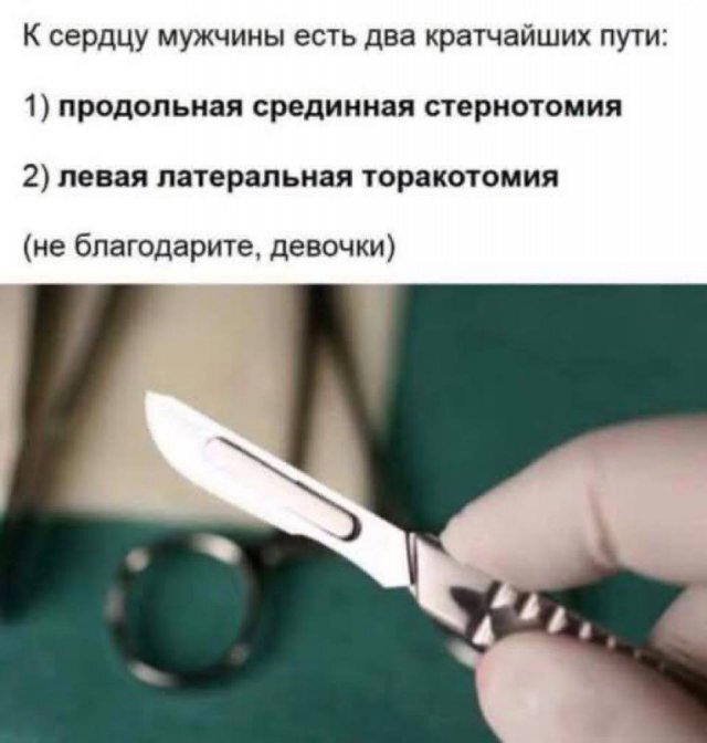 Дичка среды сестричка (2 были, но улыбнули и всплыли)