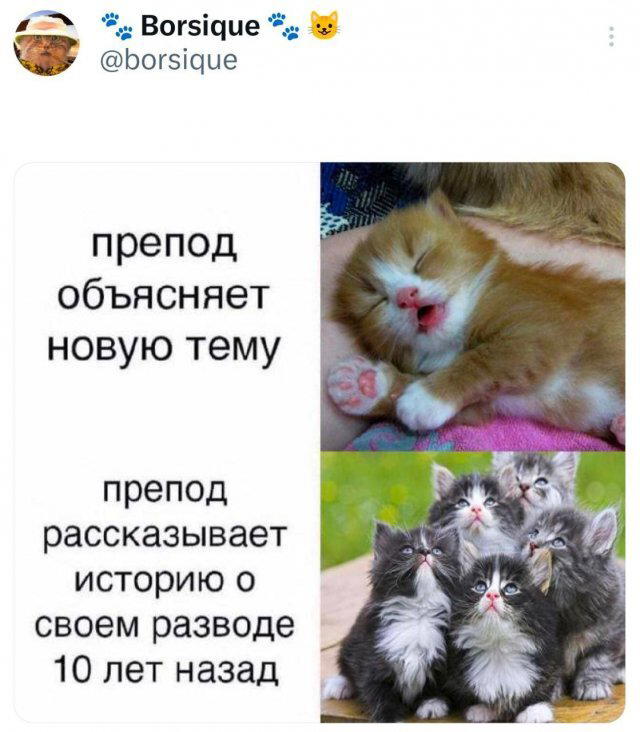 Дичка среды сестричка (2 были, но улыбнули и всплыли)