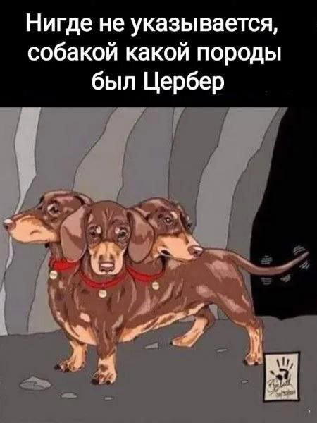 Дичка среды сестричка (2 были, но улыбнули и всплыли)