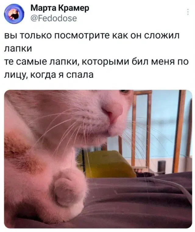 Дичка четверга страничка